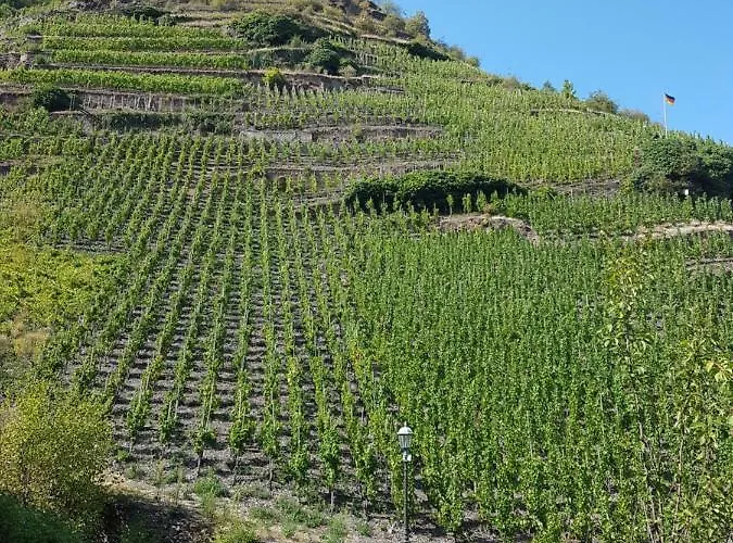 아파트 Julia 장크트 알데군트