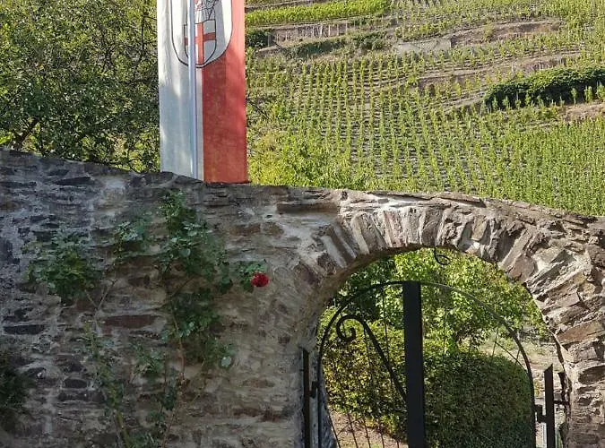 Julia 장크트 알데군트