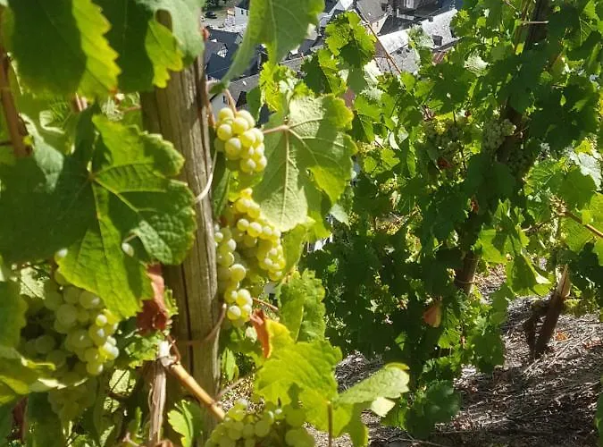 Julia Apartamento Sankt Aldegund